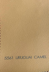 Courvin Automotivo Uruguai Camel 5561