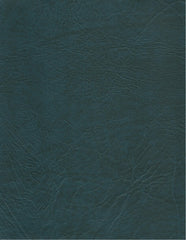4030 - Courvin Azul Turim cor 862