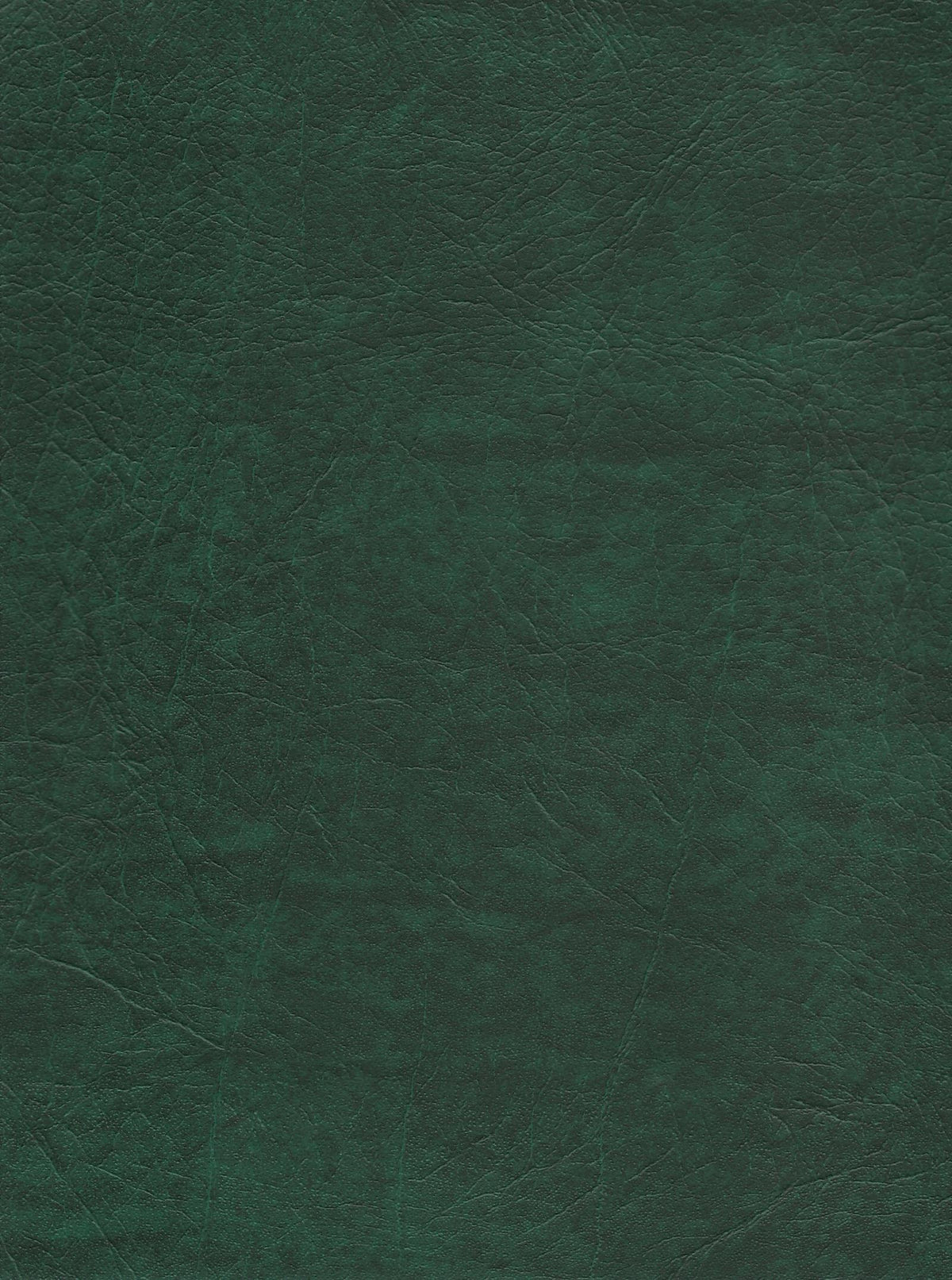 4030 -Courvin Verde Turim cor 969